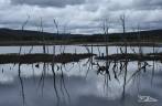 Lago fagnano, perto de Tolhuin, pequena cidade na região de Ushuaia, no sul da Terra do Fogo, Argentina